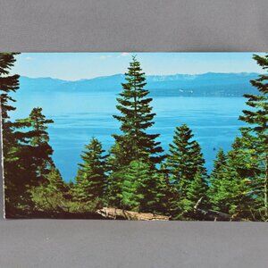 Vintage Postcard - Lake Tahoe As Seen Through The Trees - Dexter Press